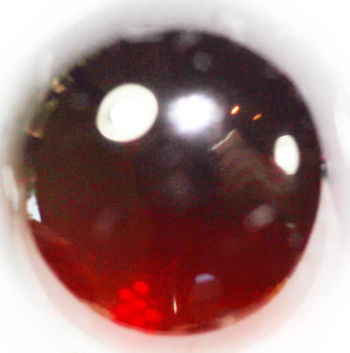 A close up of a red eye.
