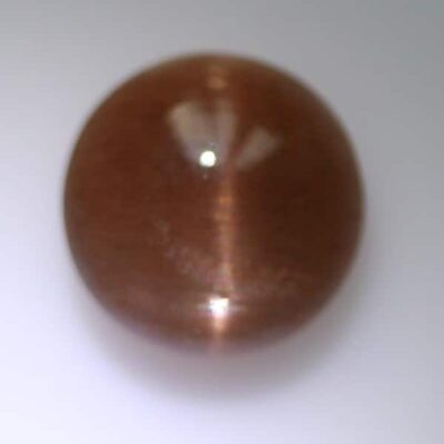 A brown stone on a white surface.