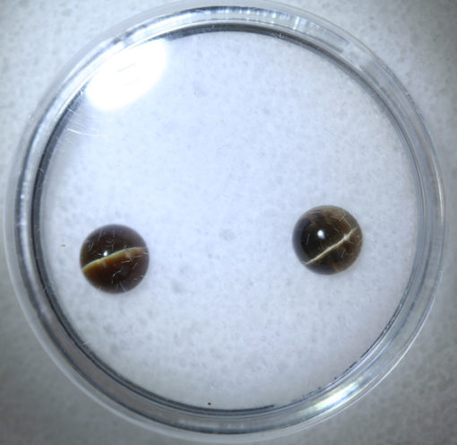 A pair of brown eyes in a clear glass container.