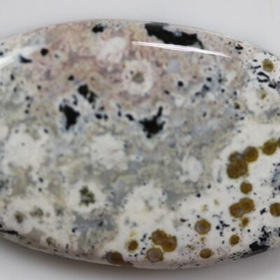 A white stone with black spots on it.