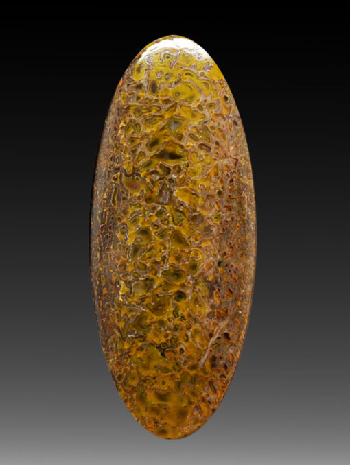 A yellow and brown oval shaped stone on a black background.