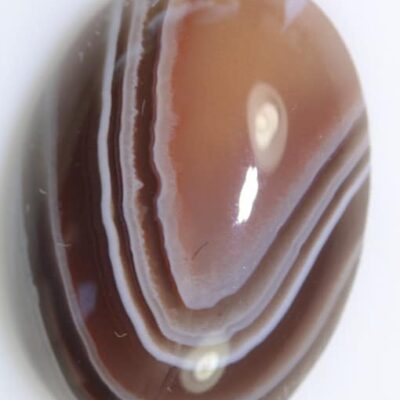 A brown and white Agate: Banded 7.50cts Oval Cabochon 18.00 x 13.00mm Q0213 stone on a white surface.