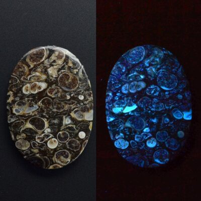 Two pieces of agate that glow in the dark.