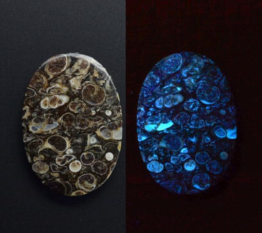 Two pieces of agate that glow in the dark.