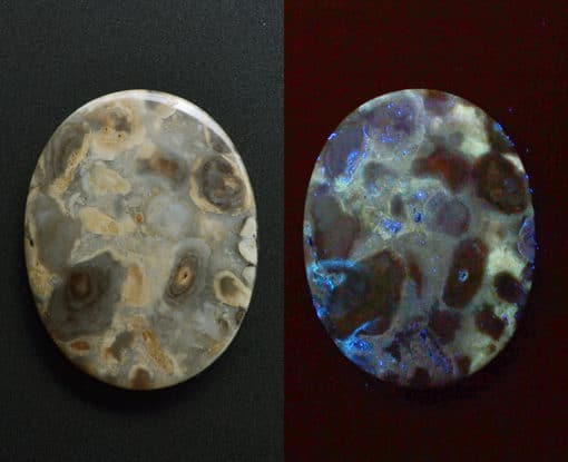 Two pieces of opal on a black background.