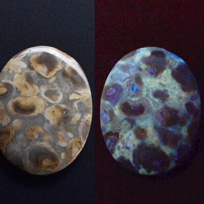 Two pieces of opal on a black background.