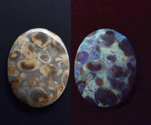 Two pieces of opal on a black background.