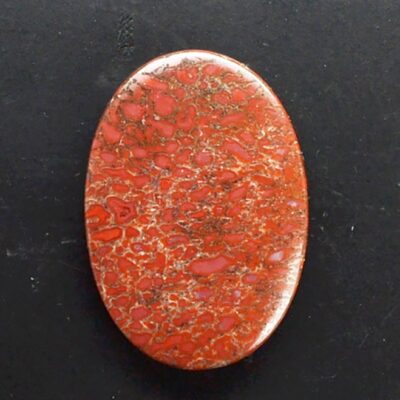 An oval piece of red coral on a black surface.
