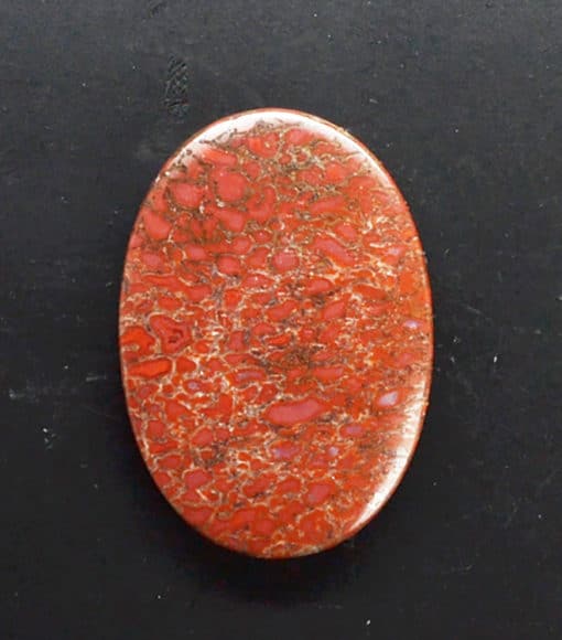 An oval piece of red coral on a black surface.
