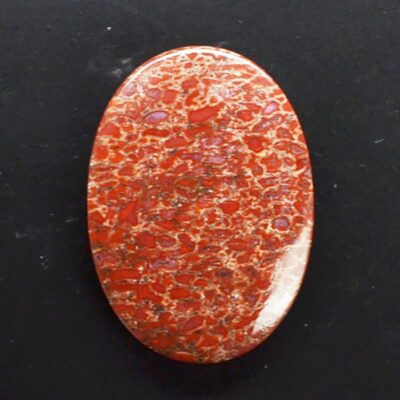 A piece of red coral on a black surface.