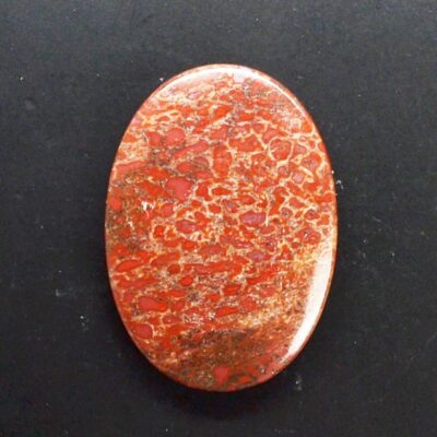A piece of red coral on a black surface.