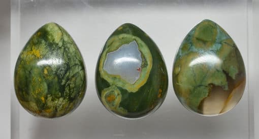 Three pieces of green and yellow jasper in a display case.