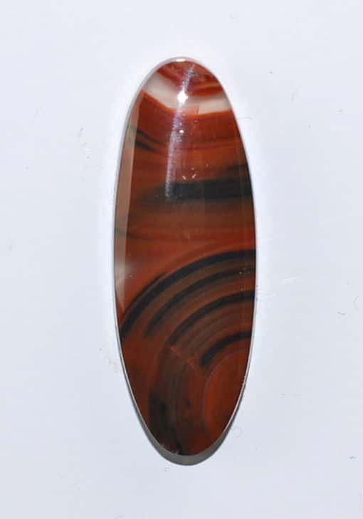 A brown and black oval agate stone on a white surface.