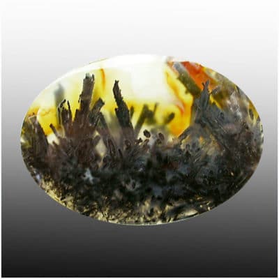 A piece of agate with a black and yellow design.