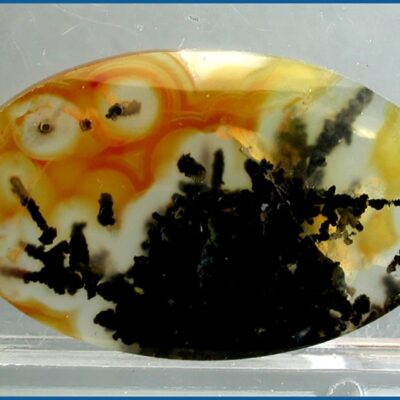 A black and yellow agate oval in a glass display case.