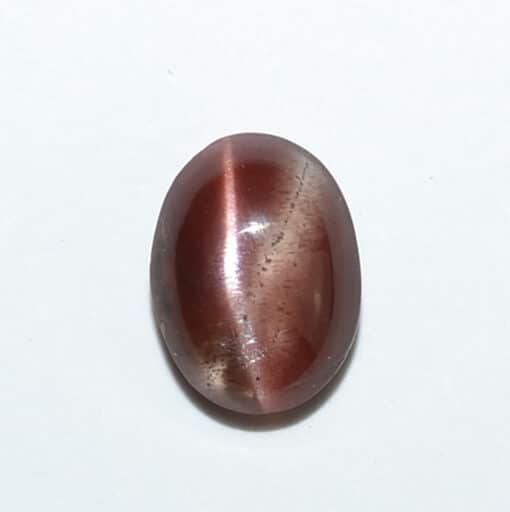 A brown and white oval shaped stone on a white surface.