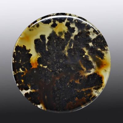 A black and yellow agate on a white background.