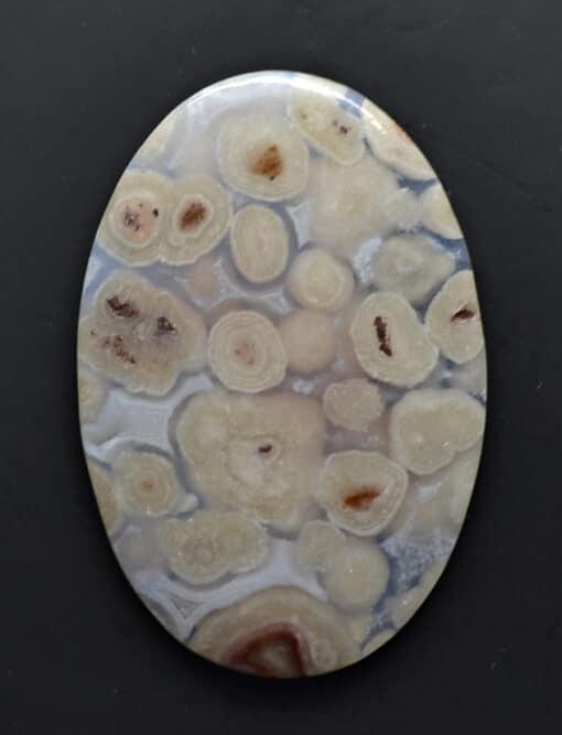 Fish Eye Agate 54.88