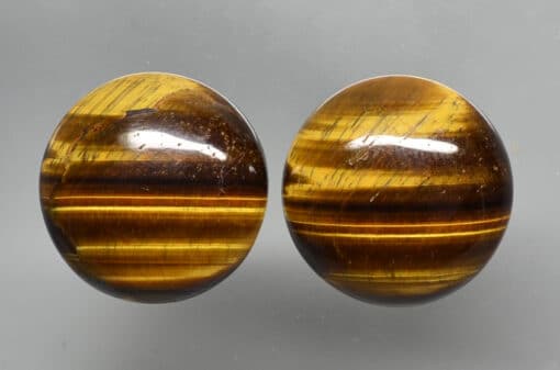 A pair of round brown and black objects.