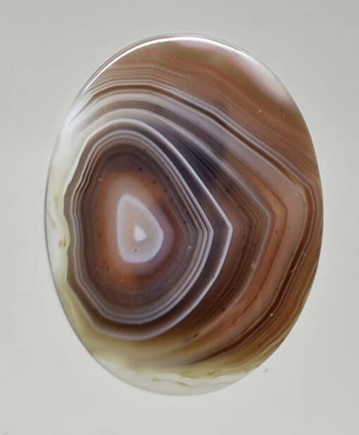 Botswana Agate 31.49