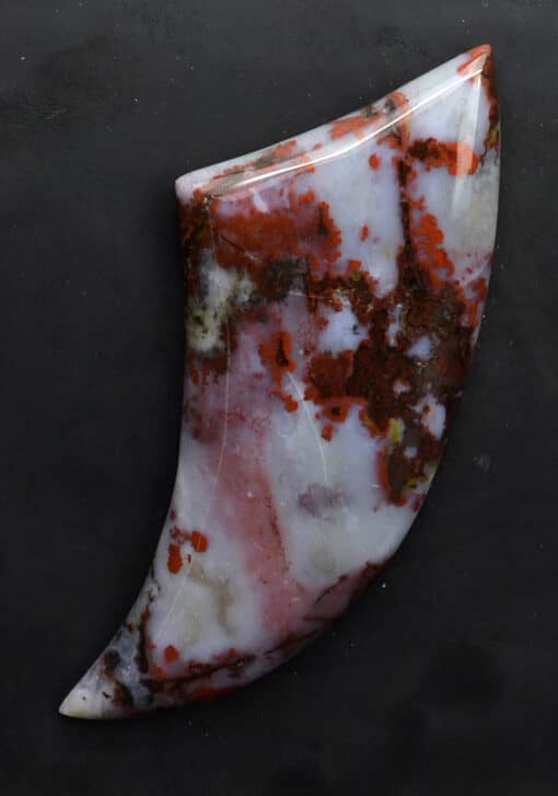 A piece of red and white jasper on a black surface.