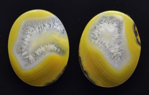 A pair of yellow and white agate cabochons.