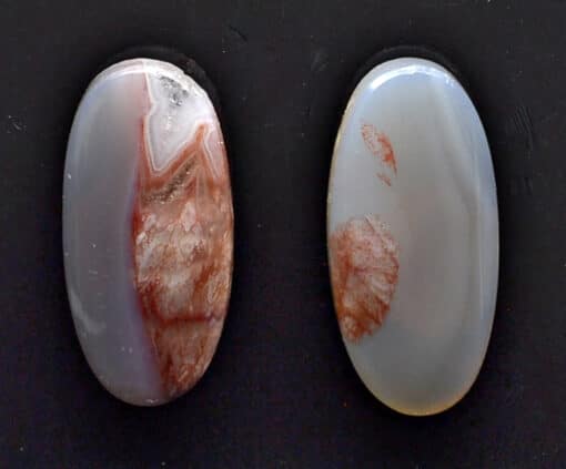A close up of two oval shaped objects.