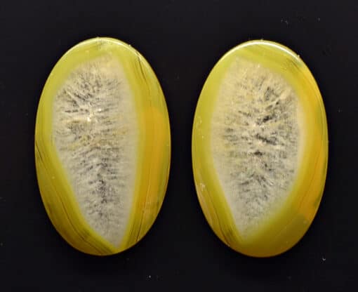 A pair of yellow agate cabochons on a black surface.