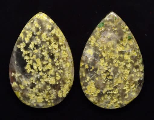 Lizard Stone pair 27.75