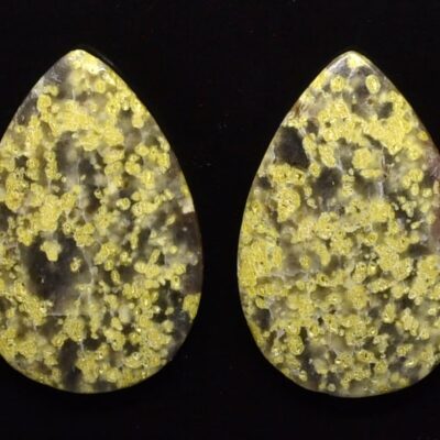 Lizard Stone pair 30.47