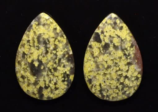 Lizard Stone pair 30.47