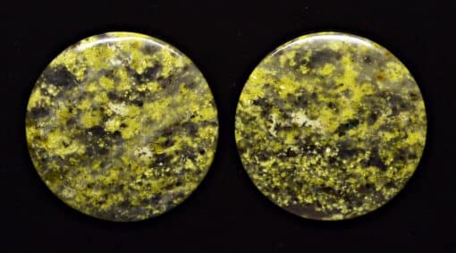 Lizard Stone pair 50.10