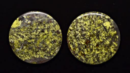 Lizard stone pair 50.85