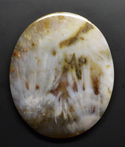 A round piece of agate on a black surface.