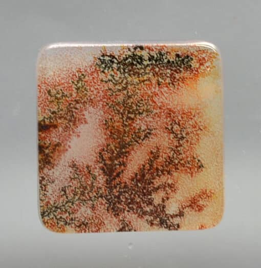 Dendritic Agate 11.37