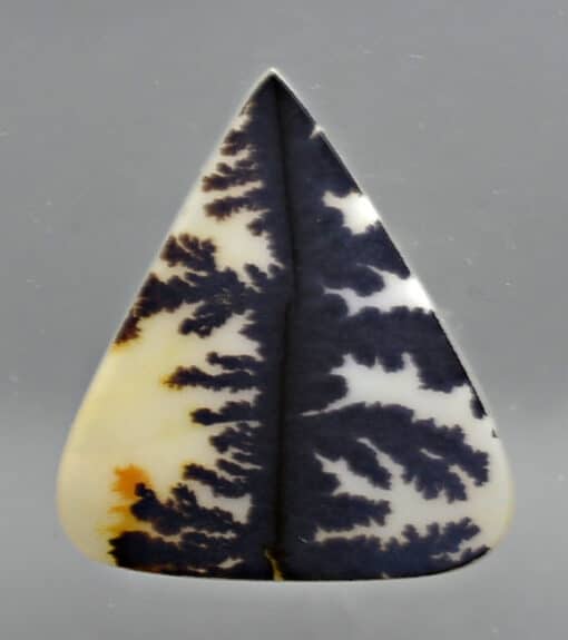 Dendritic Agate 13.00