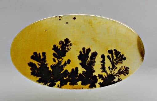 Dendritic Agate 13.90