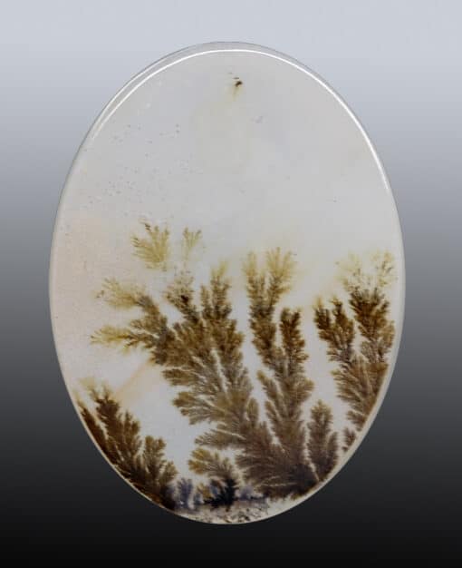 Dendritic Agate 15.56