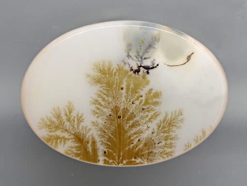 Dendritic Agate 21.66