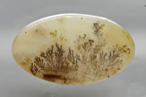 Dendritic Agate 24.35