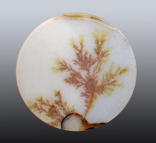 A round piece of agate with a tree on it.