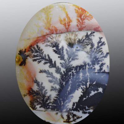 A round piece of jasper with a tree on it.