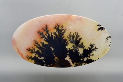 Dendritic Agate 32.65