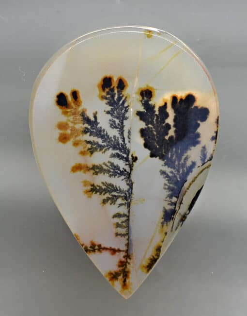 Dendritic Agate 40.59