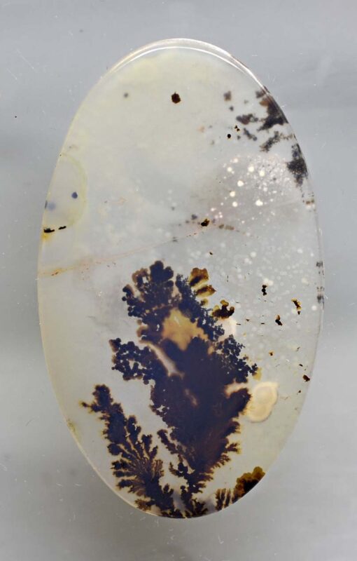 Dendritic Agate 41.46