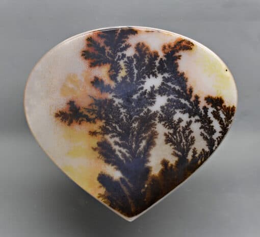 Dendritic Agate 47.89