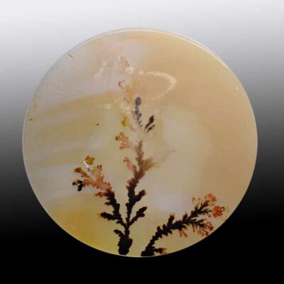 A circular piece of agate with a flower on it.