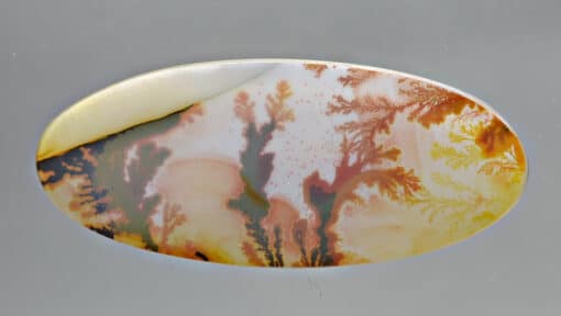 Dendritic Agate 6.10