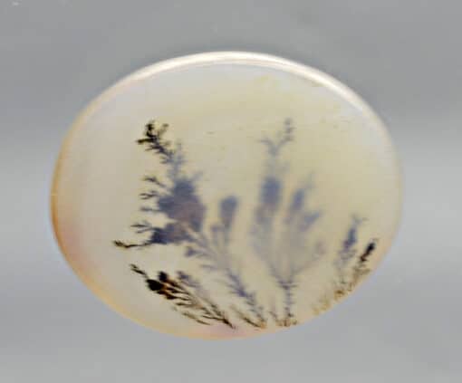 Dendritic Agate 7.66