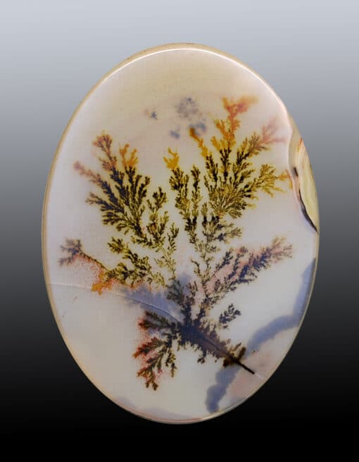 A round piece of agate with leaves on it.